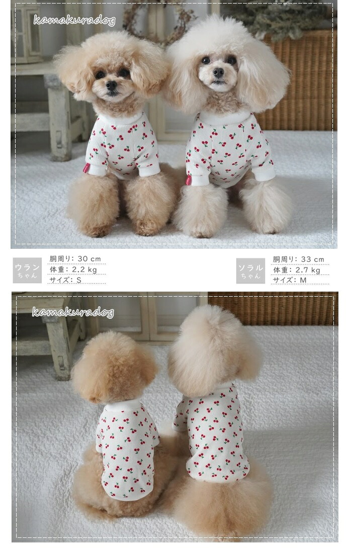 犬服 3S わんこの普段着りぼん
