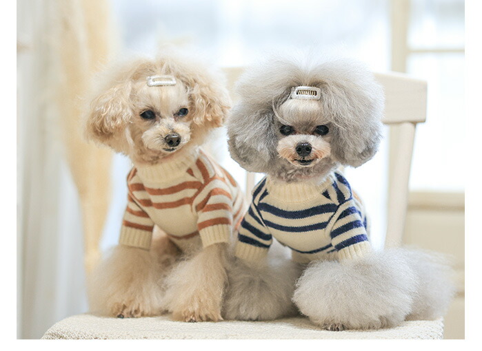 楽天市場】【犬 服 ニット】3匹のくまさんニット 鎌倉DOG トップス