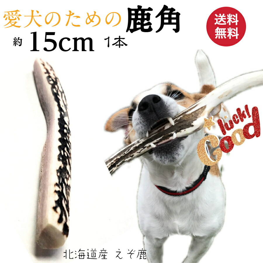 楽天市場】鹿の角 犬 おもちゃ 15cm 4つ割り 1本 鹿角 小型犬 国産