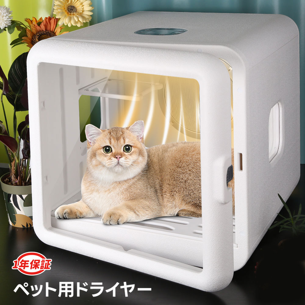 imgrc0097728978.jpg?fitin=720:720