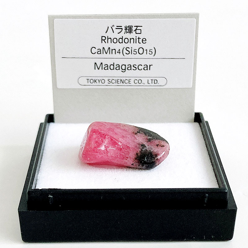 楽天市場】バラ輝石（マダガスカル） 鉱物 標本 東京サイエンス ミニ