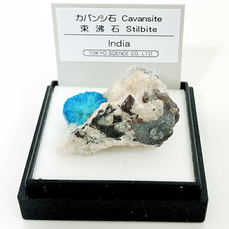 楽天市場】カバンシ石 東沸石（インド） 鉱物 標本 東京サイエンス