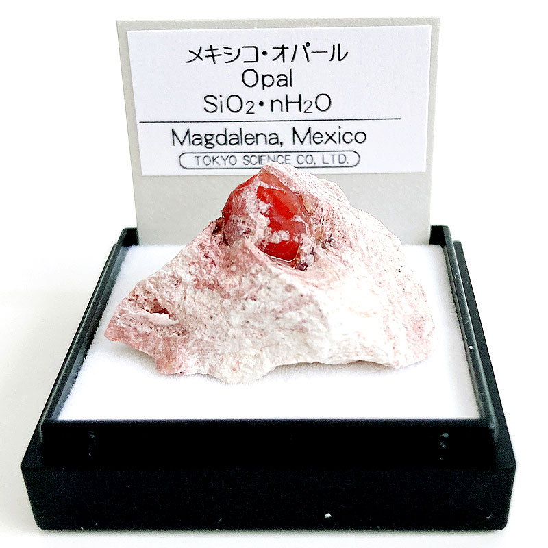 楽天市場】メキシコオパール（メキシコ） 鉱物 標本 東京サイエンス