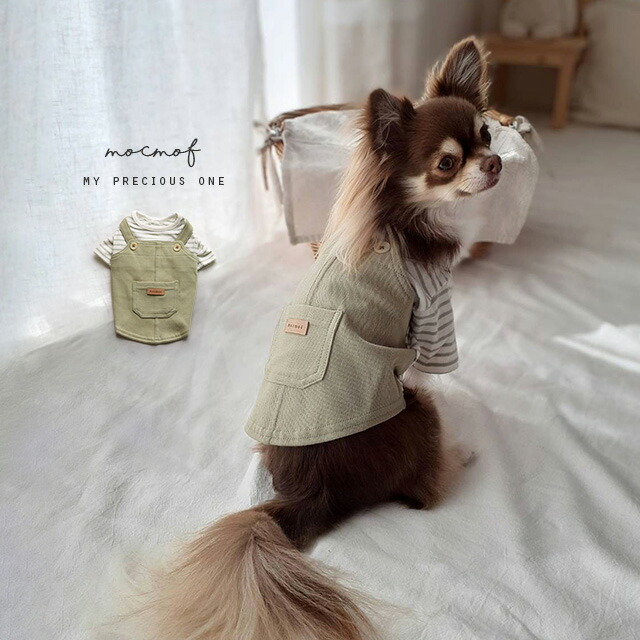 犬服^ ^本革コームケース