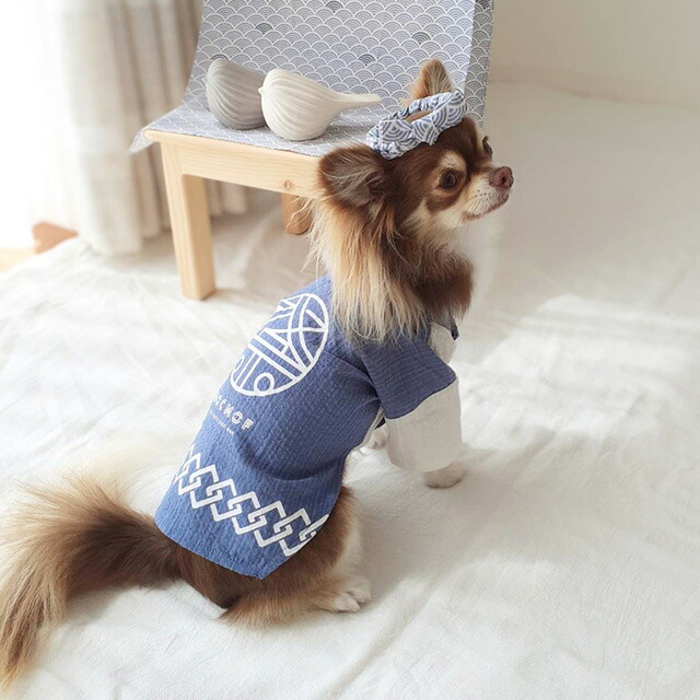 楽天市場】mocmof pet モクモフペット 犬用はっぴ 622-466112(犬 法被