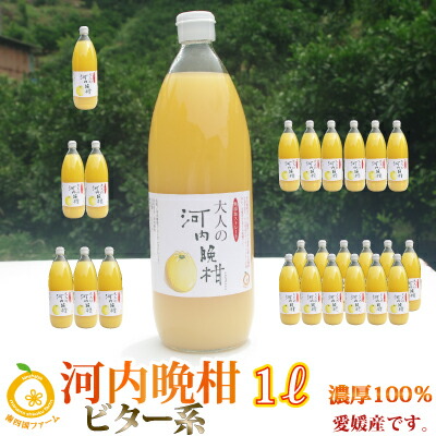 楽天市場】【賞味期限2026年4月10日】愛媛産 河内晩柑ジュース（1000ml