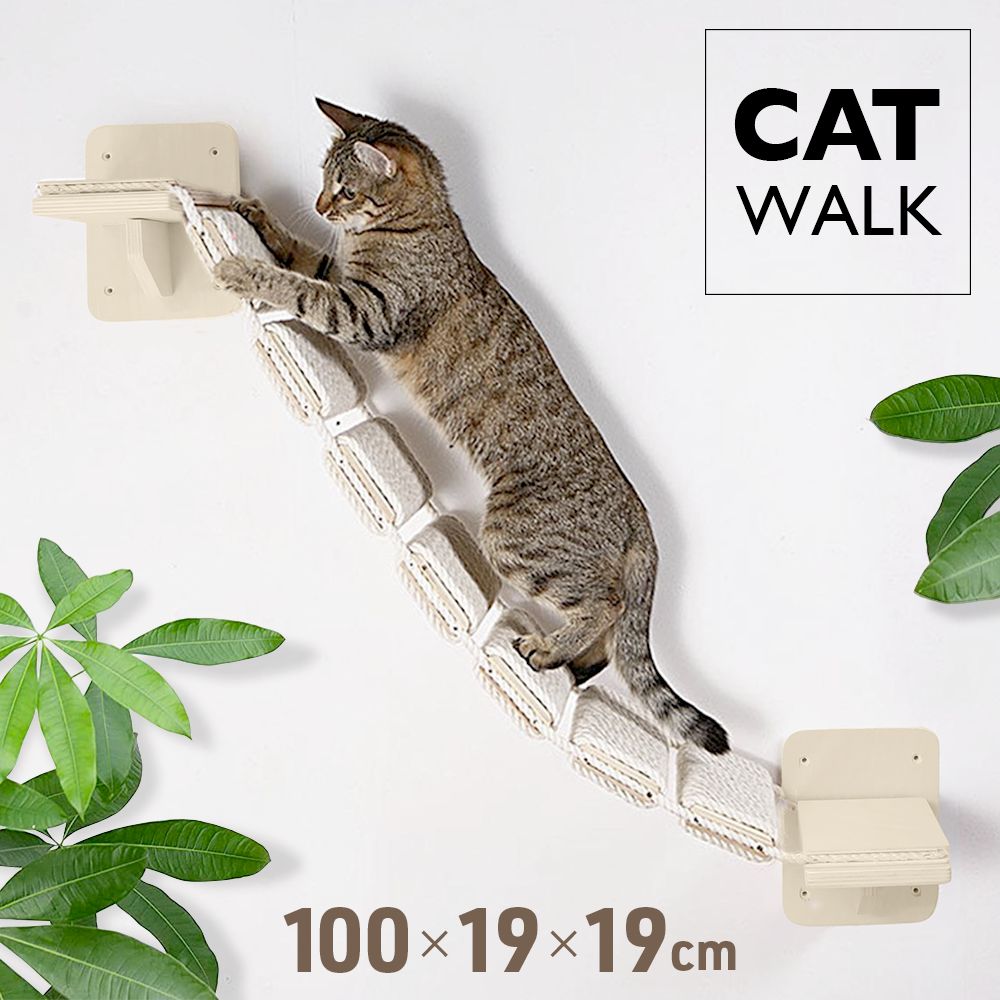 楽天市場】【LINE登録ですぐ使えるクーポン配布中】 キャットウォーク