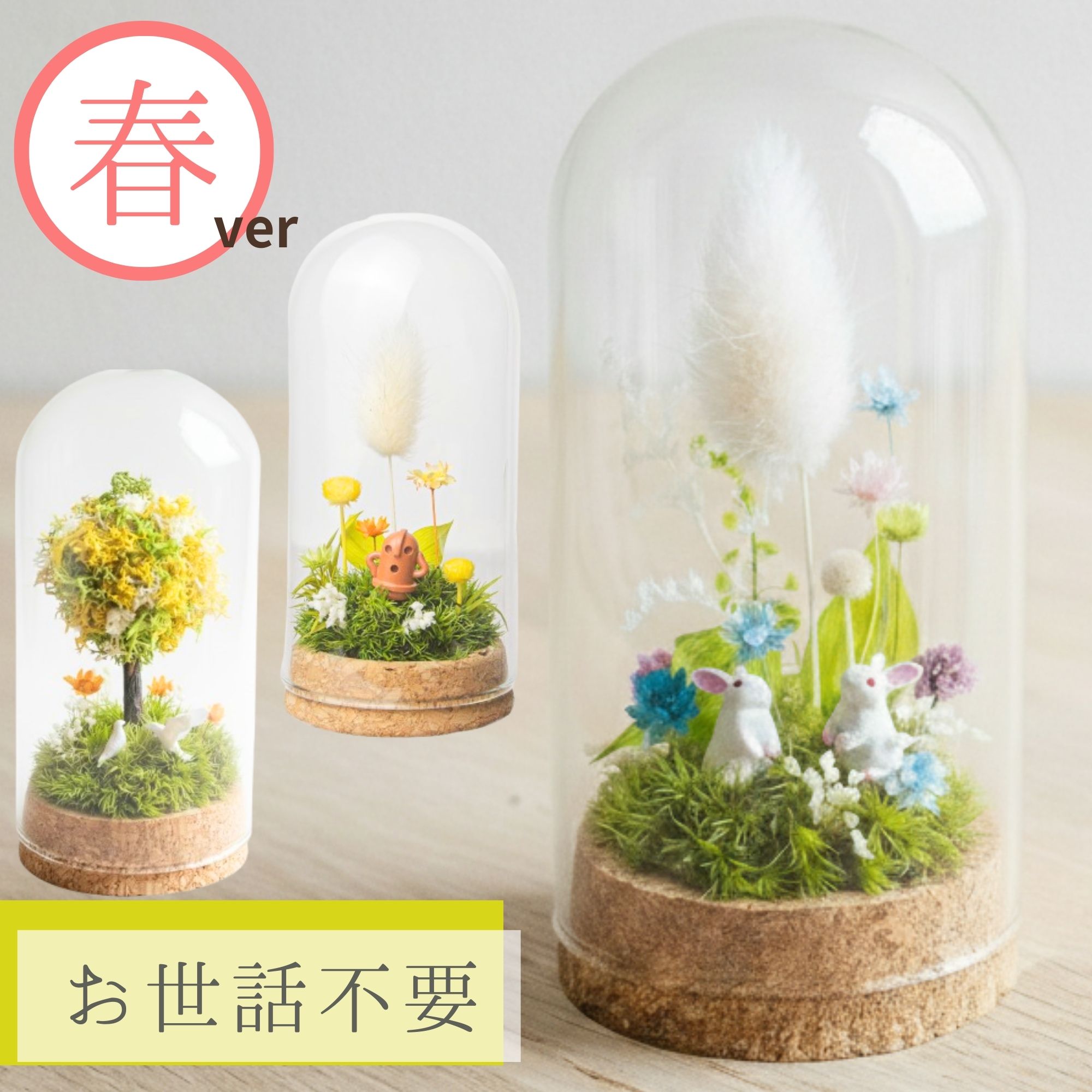 楽天市場 | 苔むすび 楽天市場店 - 生きた緑のインテリア、苔