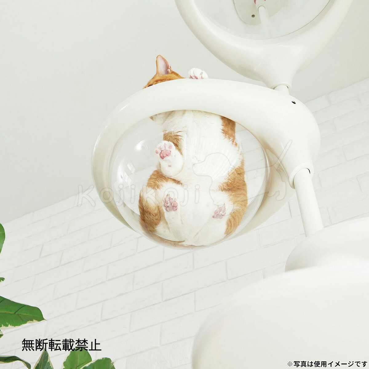 楽天市場】【店内ポイント最大40倍！本日限定！】OPPO オッポ キャット