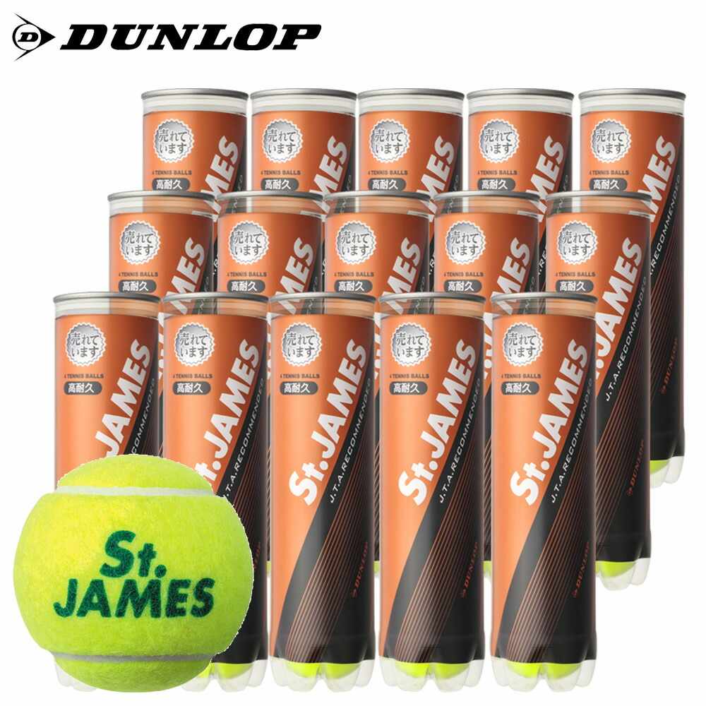 Dunlop Fort ダンロップフォート テニスボール 4球入り24缶セット