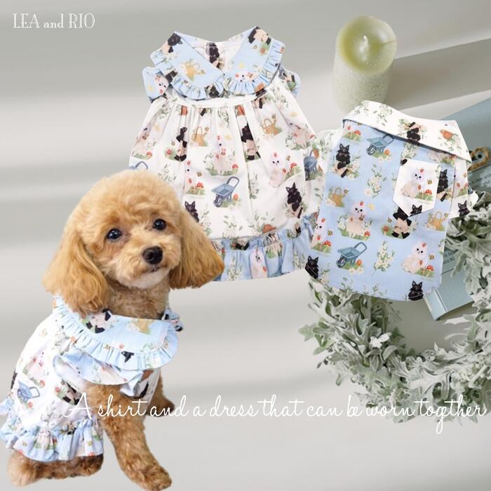 重ね着風さわやかワンピ/XXS〜M/犬服/犬服ハンドメイド