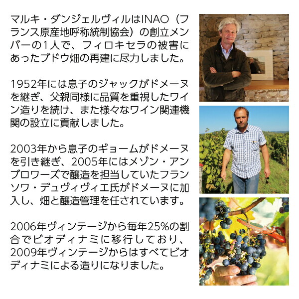 楽天市場】ドメーヌ マルキ ダンジェルヴィル ヴォルネイ プルミエ