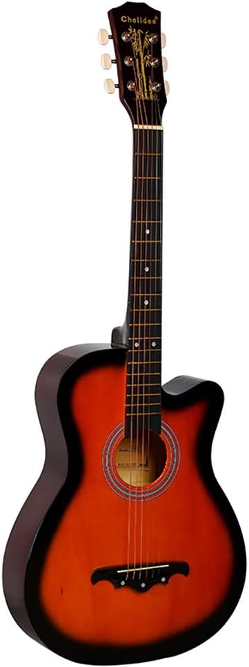 楽天市場】初心者用 アコースティックギター 軽量 : lenosa