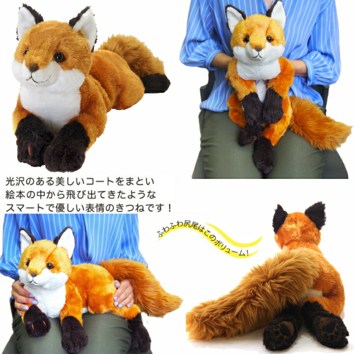 楽天市場】【ひざシリーズ】【ギフトラッピング承り中！】 こころ