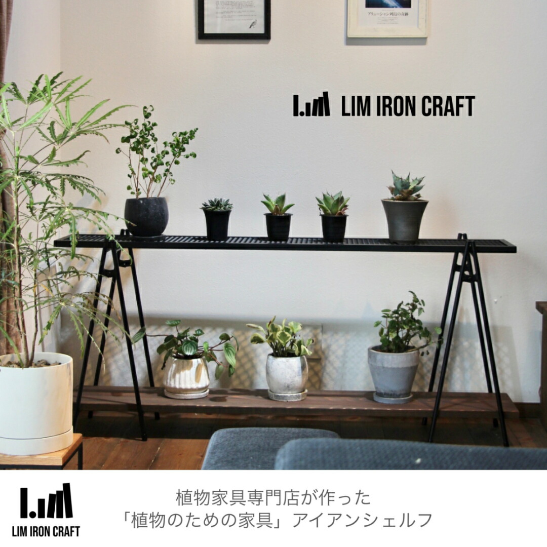 アイアンシェルフ アイアンラック インダストリアル 植物棚 アガベ