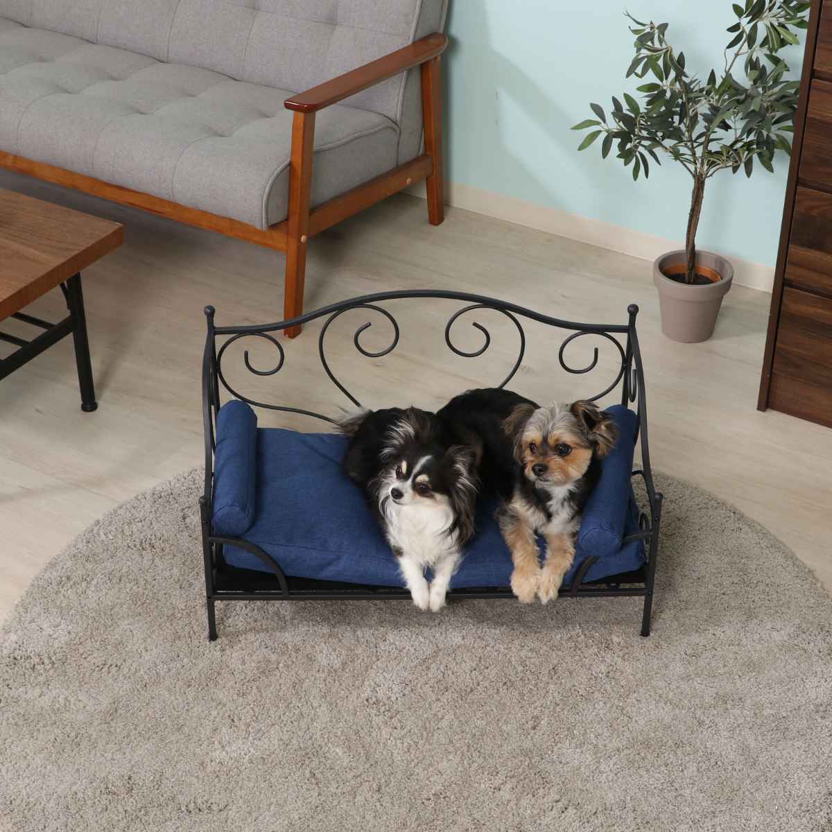 楽天市場】ペットベッド 幅69.5cm スチールフレーム クッション