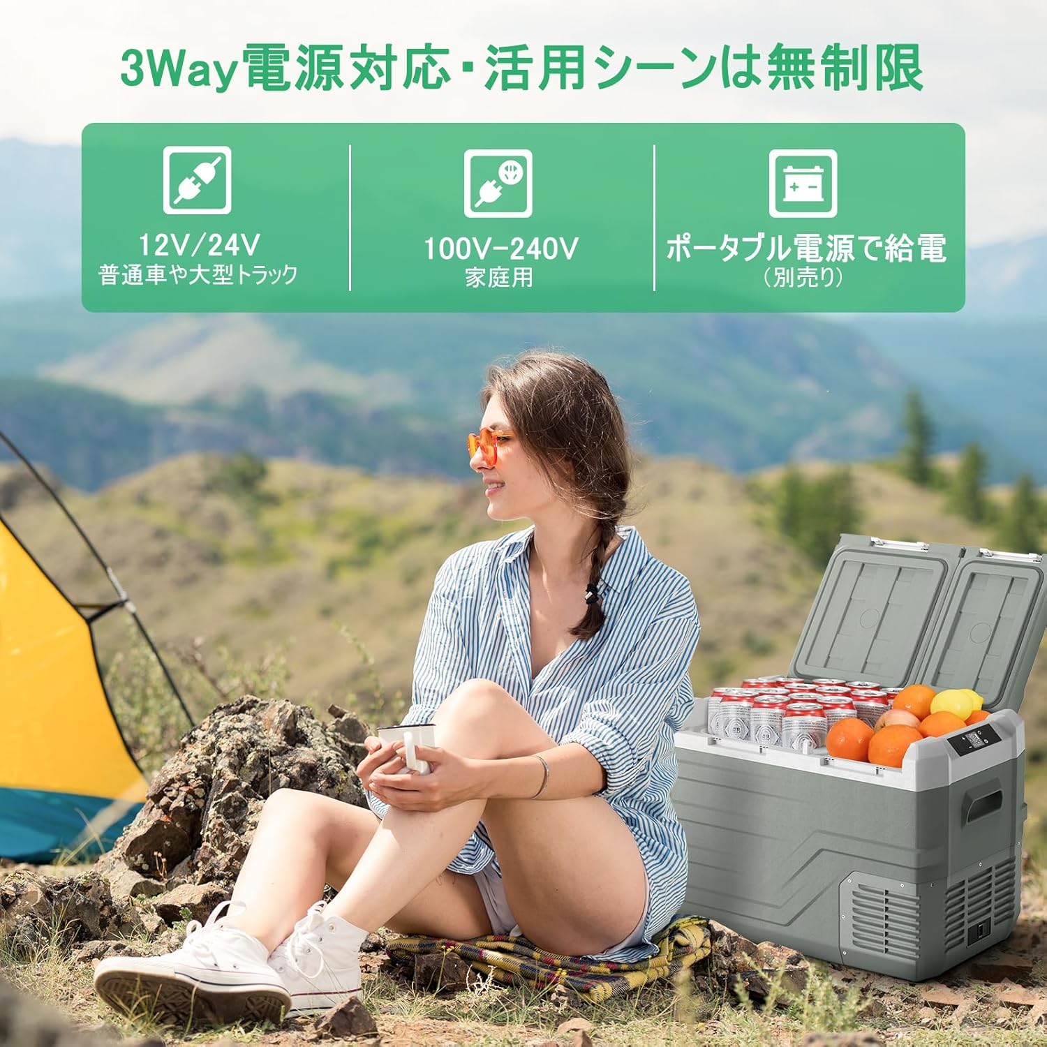 楽天市場】【2025最新】 Alpicool 車載冷蔵庫 2室 ポータブル冷蔵庫