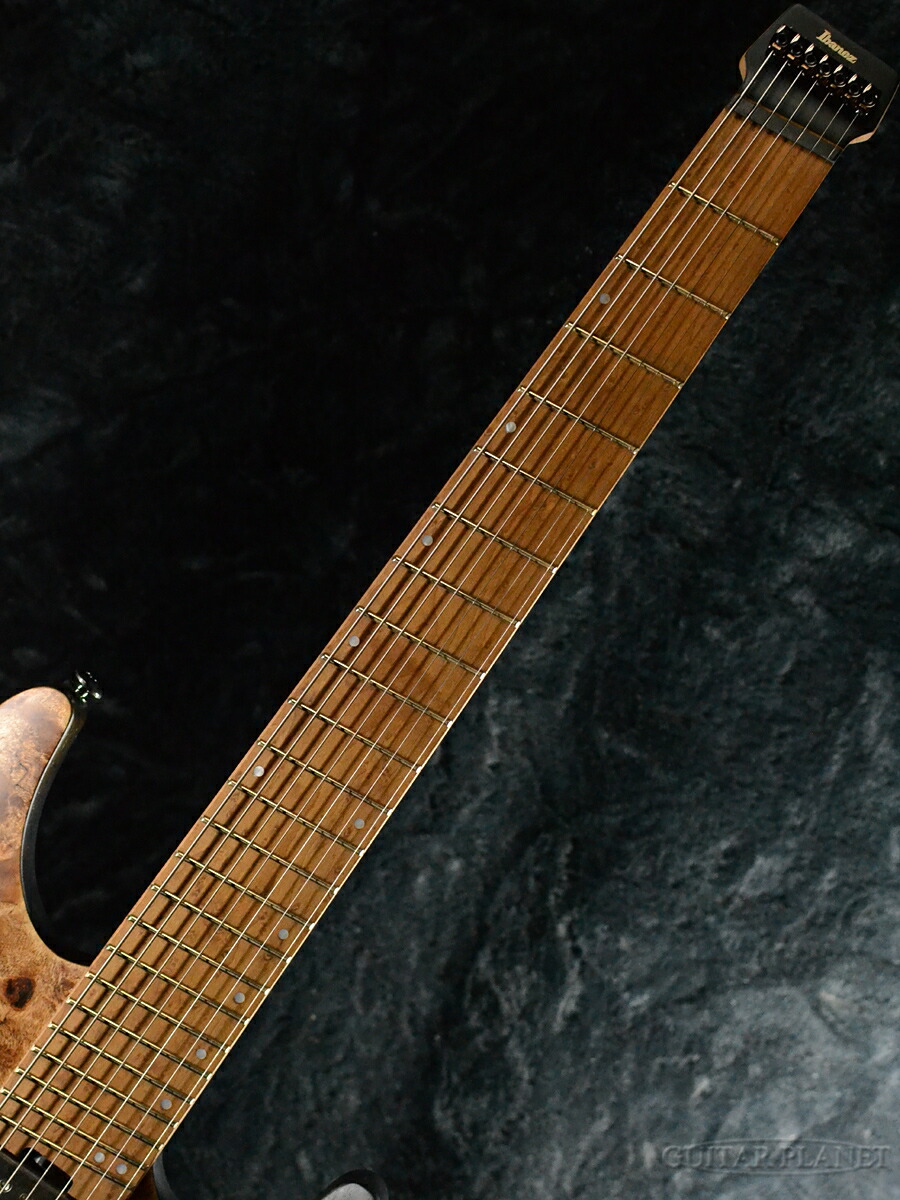 楽天市場】Ibanez QX527PB -ABS (Antique Brown Stained)- 新品