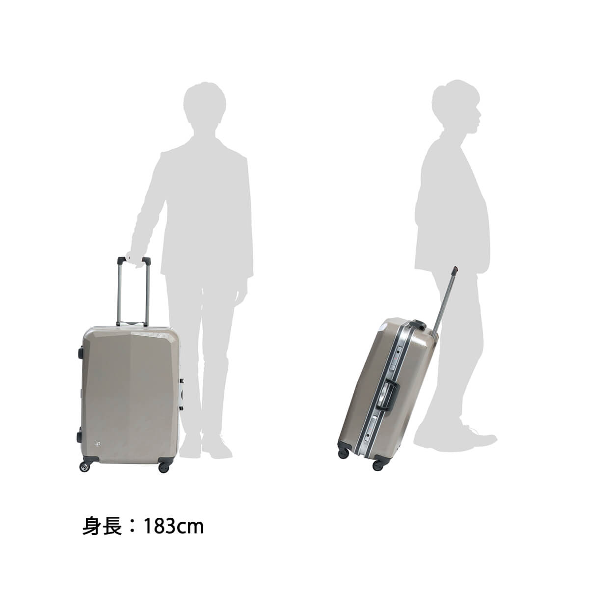 楽天市場】【土日限定 最大42倍】 ノベルティ付 【正規品10年保証