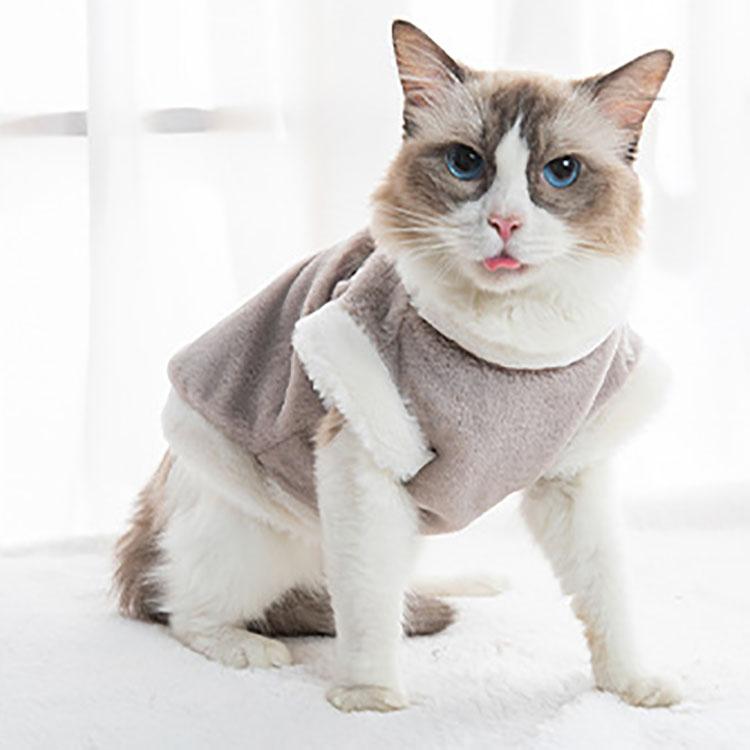 楽天市場】猫の服 犬の服 おしゃれ ペット服 犬猫兼用 刺繍 もこもこ