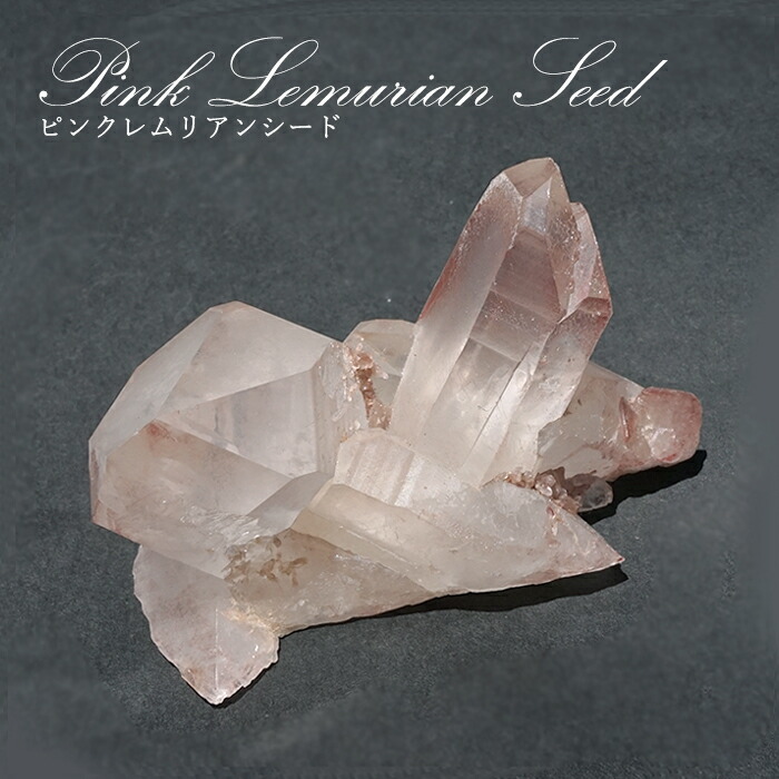 楽天市場】ピンク レムリアンシードの通販