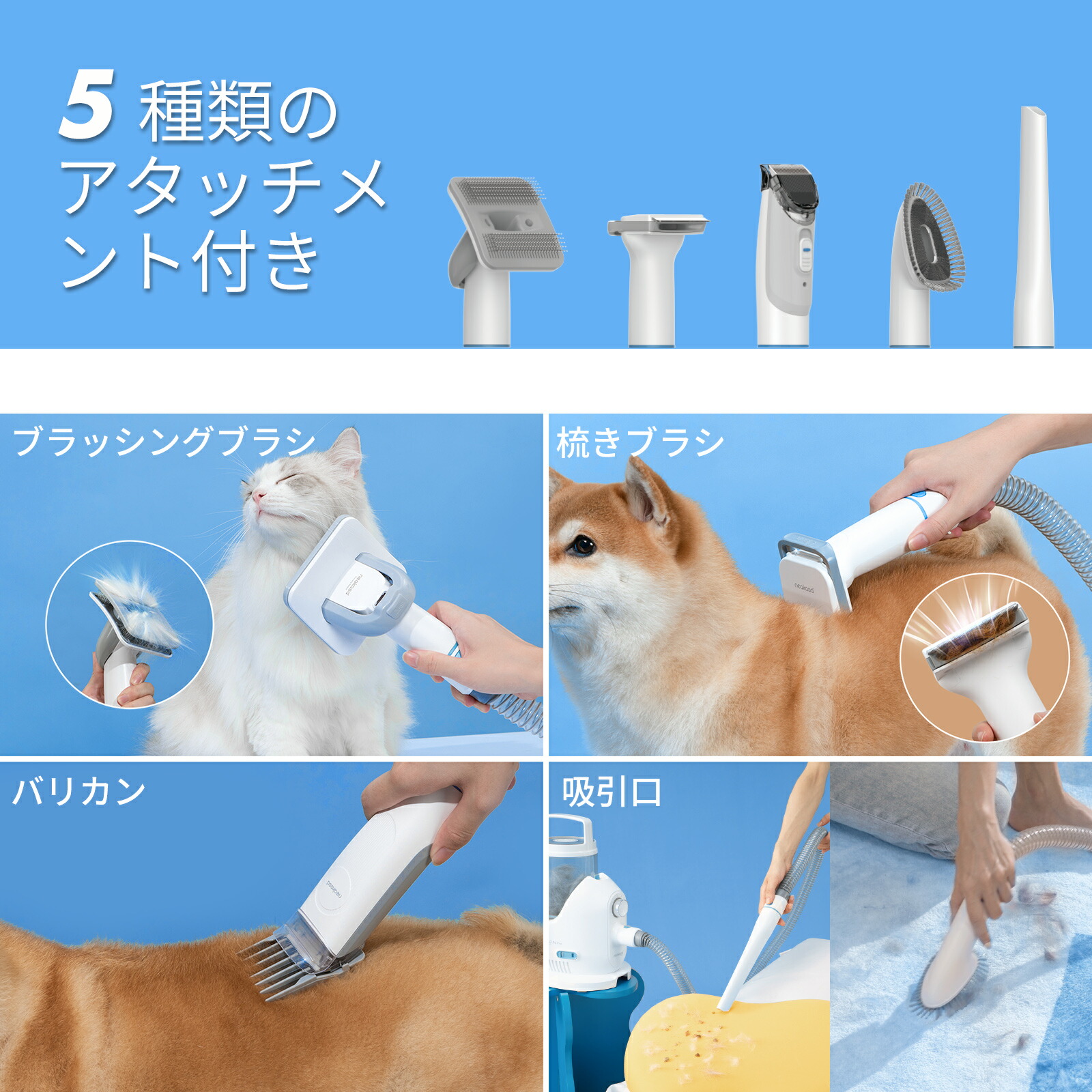 楽天市場】全店対象3000円OFFクーポン配布中 当日発送 2L大容量