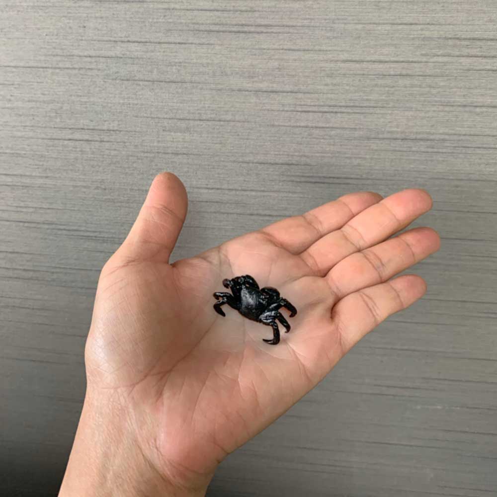 蟹 置物 盆栽 添配 蟹置物盆栽添配