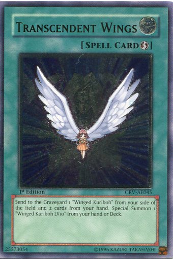 ARS10】遊戯王 進化する翼 レリーフ ARS10】遊戯王 進化する翼