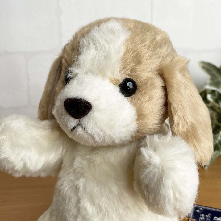 昭和レトロ💗チューリップ على X: 