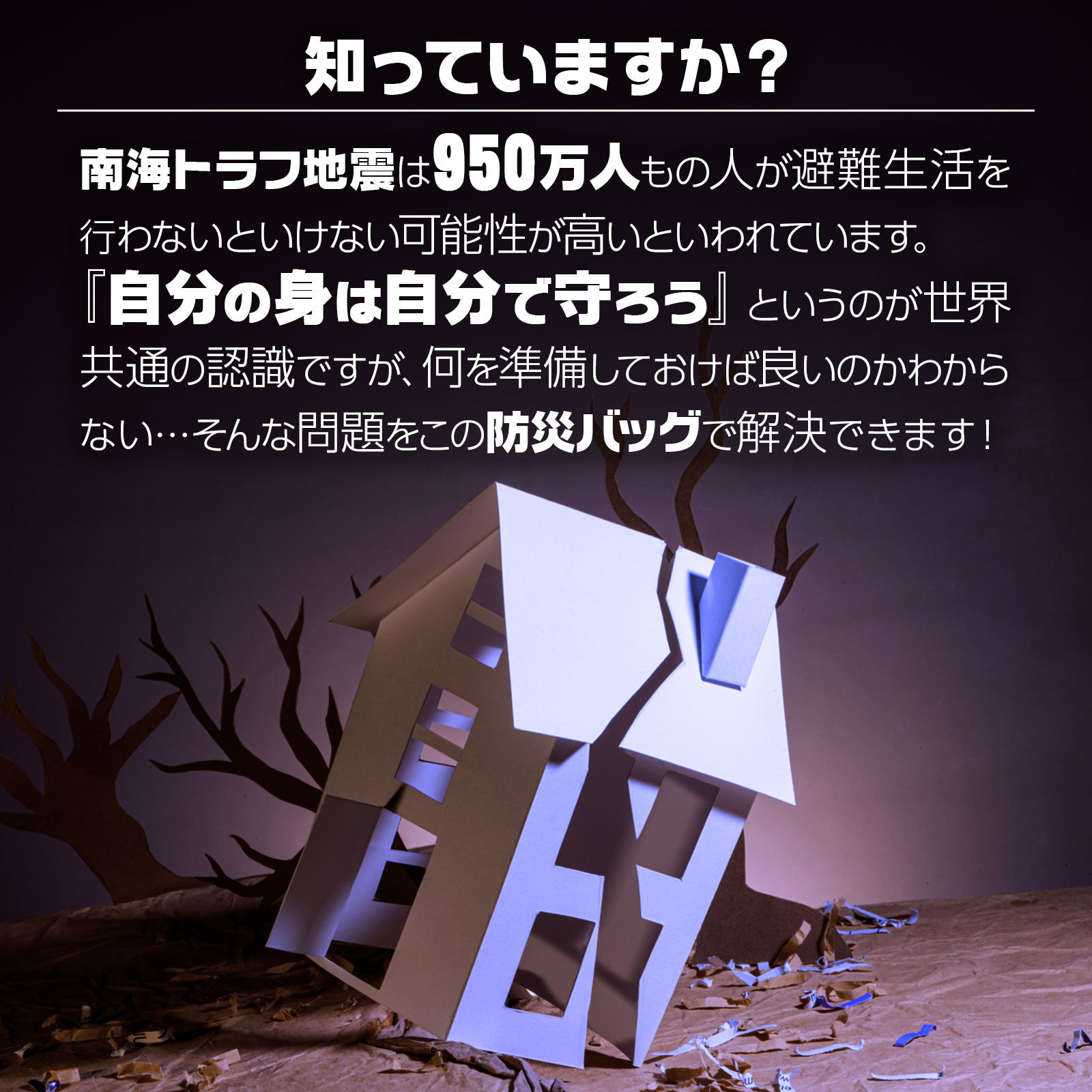 楽天市場】【☆最大1,000円OFFクーポンあり】防災セット 51点セット 1