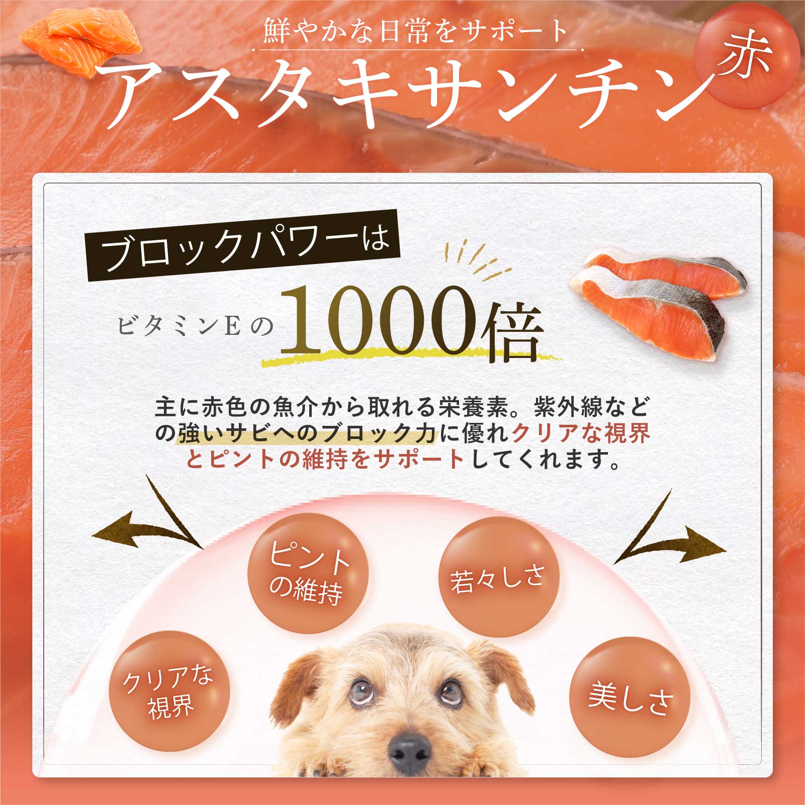しにあ犬用サプリ アミュレ amure 60粒（30日分）4袋￼