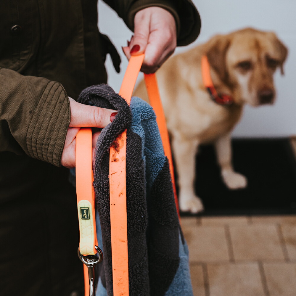 Hunter 犬用ジョギングポーチ＆リード 中型犬、大型犬 HUNTER ハンター