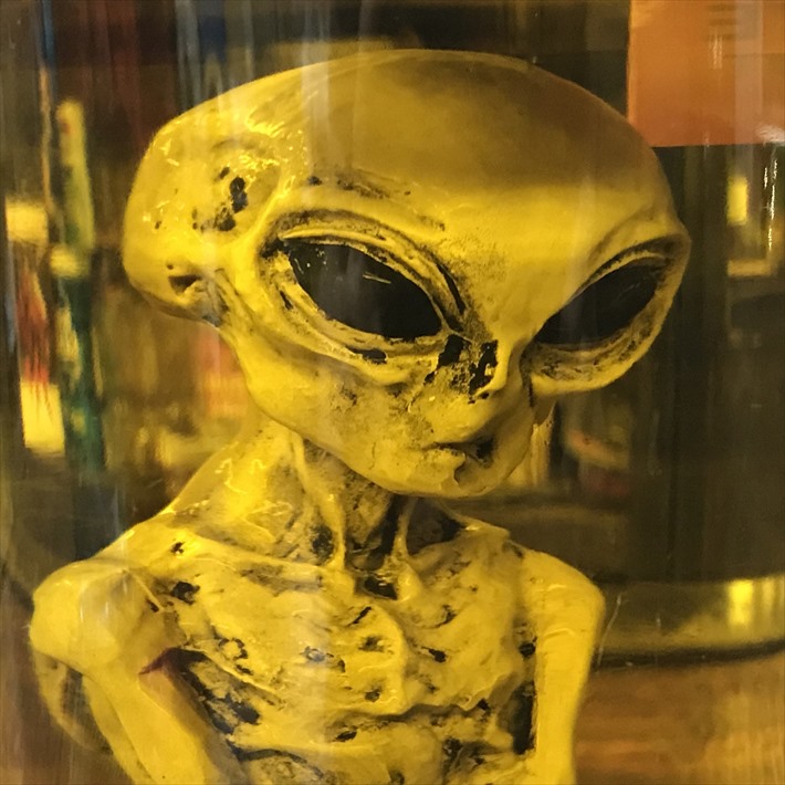 楽天市場】エイリアンのホルマリン漬け ロズウェル捕獲 エリア51 宇宙