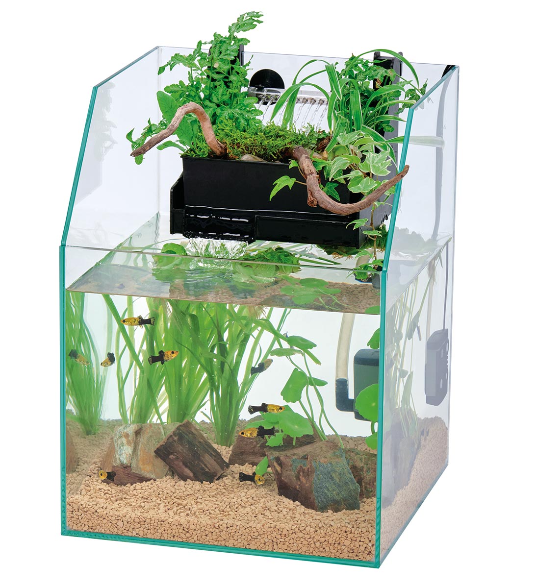 楽天市場】【☆ポイント10倍☆】2/4~2/10開催！お買い物マラソン(要