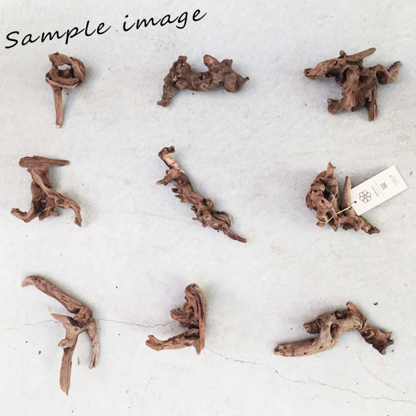 楽天市場】プレミアム流木 マングローブ系 形状お任せ レイアウト素材