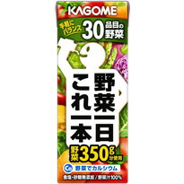 カゴメ 野菜一日これ一本 200ml×24本 紙パック (野菜・果実飲料) 価格