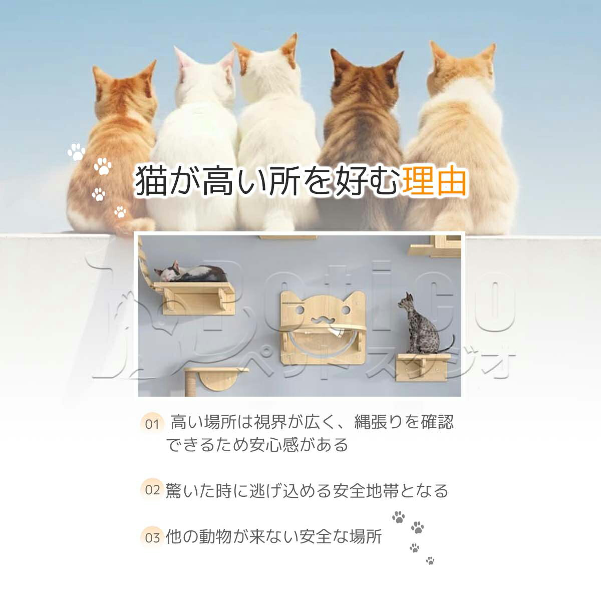 楽天市場】キャットウォーク 壁 壁付け 猫 無垢材の猫用壁棚セット