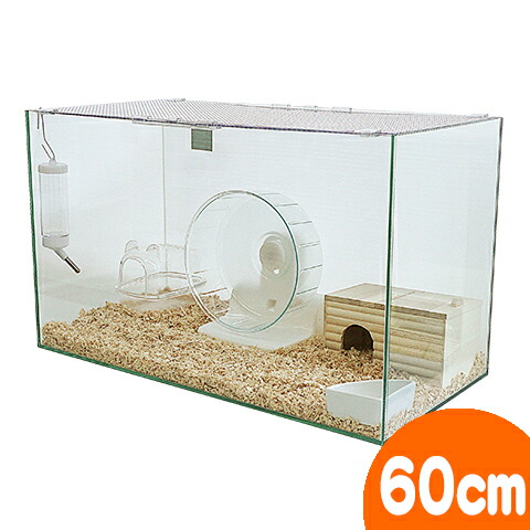 楽天市場】ニューネイチャーランド 2L : 小動物専門店ヘヴン