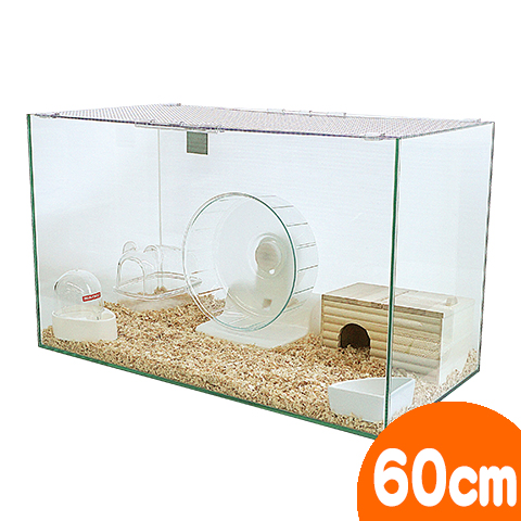 ハムスター飼育セット もりあ ハムスター飼育セット