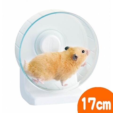 楽天市場】ハーモニーホイール17 : 小動物専門店ヘヴン