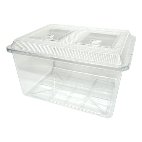 温室・飼育ケース shige42965357 温室・飼育ケース shige42965357 温室