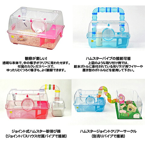 楽天市場】ルーミィ : 小動物専門店ヘヴン ღ KA - KO ღ様確認用