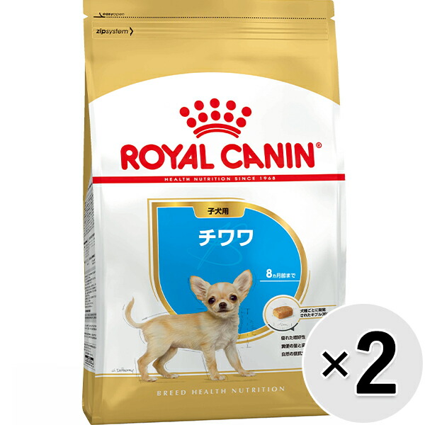 CANIN チワワ専用ドライフード 12kg チワワ 専用フード 中・高齢犬用