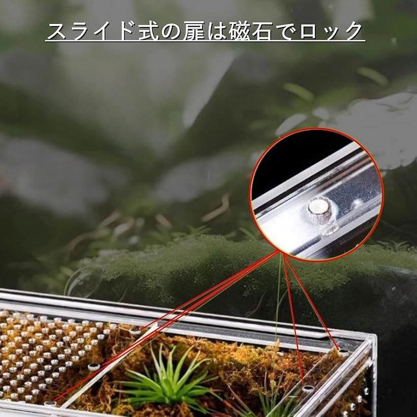 楽天市場】【楽天ランキング1位入賞】爬虫類 ケージ シェルター