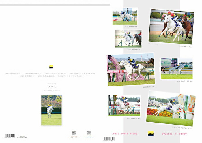 競馬グッズ クリアファイル23枚 競馬 JRA クリアファイル - 競馬グッズ