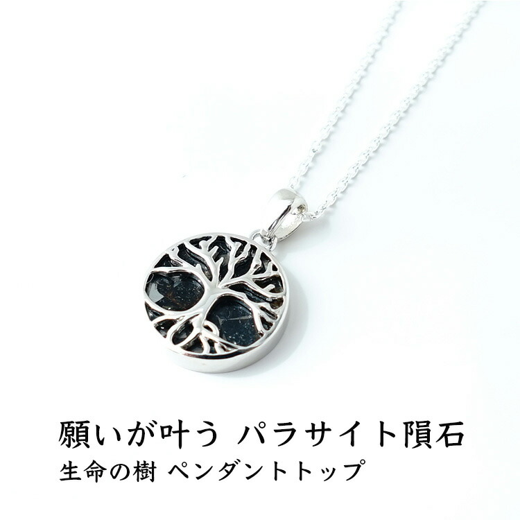 楽天市場】パラサイト隕石 ペンダント ネックレス パワーストーン
