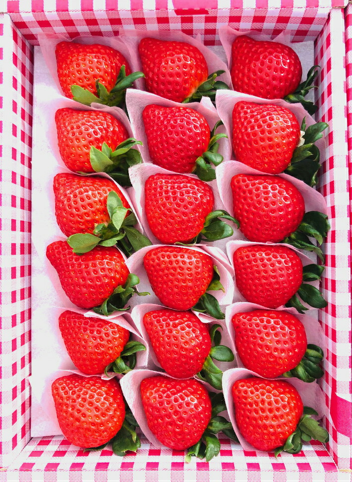 楽天市場】【農園直送】あまりん 埼玉県オリジナルいちご 化粧箱 贈答