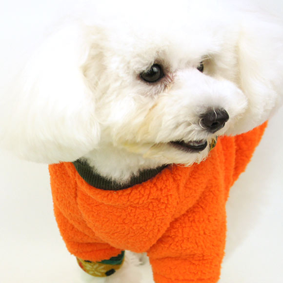 楽天市場】【 犬 ドッグフード 】SELECT BALANCE セレクトバランス