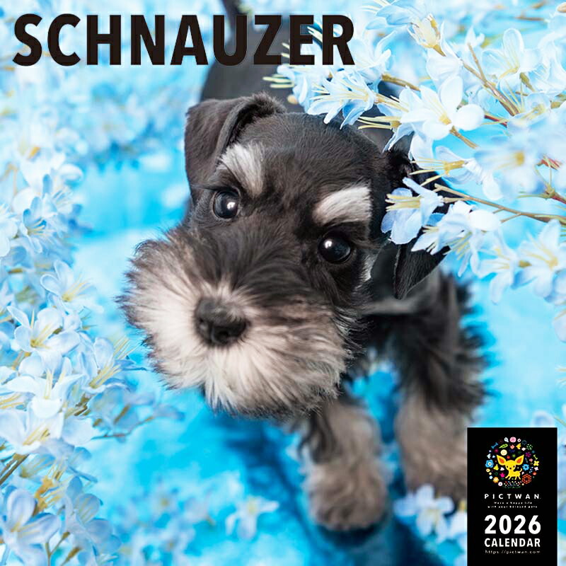 楽天市場】［公式］PICTWANカレンダー 2026年【L判】シュナウザー
