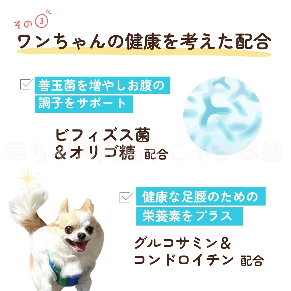 楽天市場】【公式】ドッグフード お試し うまか やわか 170g 国産 総合